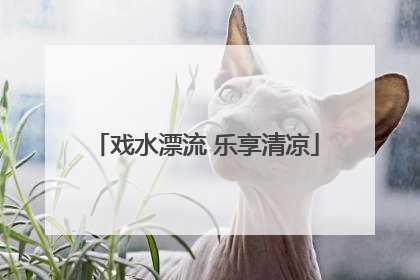 戏水漂流 乐享清凉