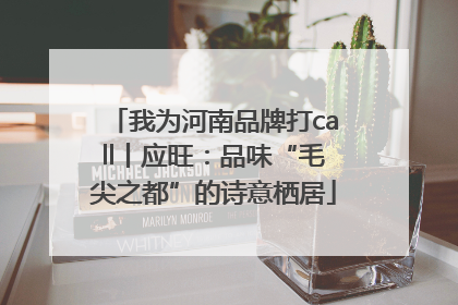 我为河南品牌打call丨应旺：品味“毛尖之都”的诗意栖居