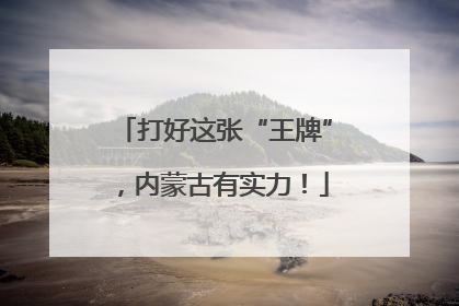 打好这张“王牌”，内蒙古有实力！