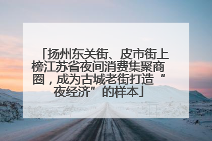 扬州东关街、皮市街上榜江苏省夜间消费集聚商圈，成为古城老街打造“夜经济”的样本
