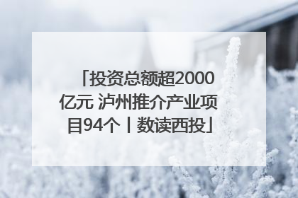 投资总额超2000亿元 泸州推介产业项目94个丨数读西投
