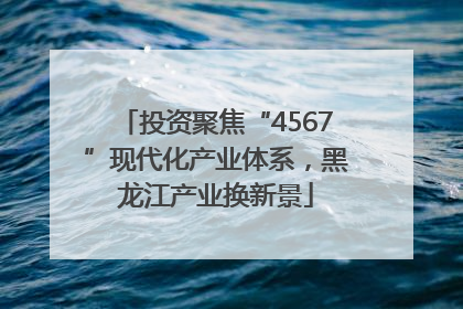 投资聚焦“4567”现代化产业体系，黑龙江产业换新景