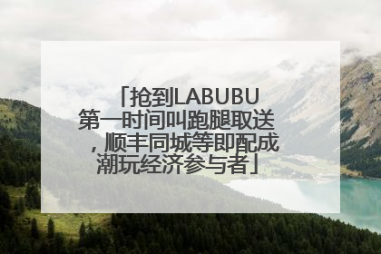 抢到LABUBU第一时间叫跑腿取送，顺丰同城等即配成潮玩经济参与者