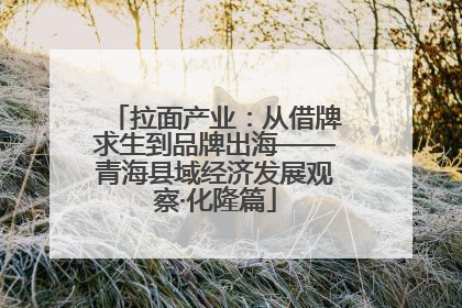 拉面产业：从借牌求生到品牌出海——青海县域经济发展观察·化隆篇