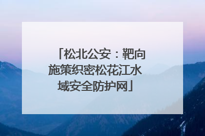 松北公安：靶向施策织密松花江水域安全防护网