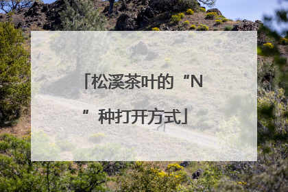 松溪茶叶的“N”种打开方式