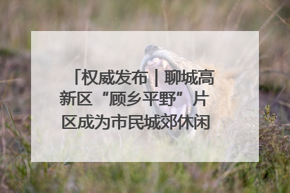 权威发布｜聊城高新区“顾乡平野”片区成为市民城郊休闲全新目的地