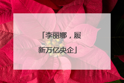 李丽娜，履新万亿央企