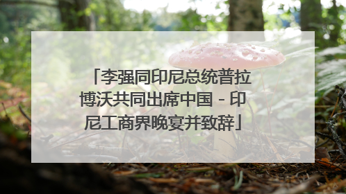 李强同印尼总统普拉博沃共同出席中国－印尼工商界晚宴并致辞