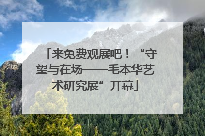 来免费观展吧！“守望与在场——毛本华艺术研究展”开幕