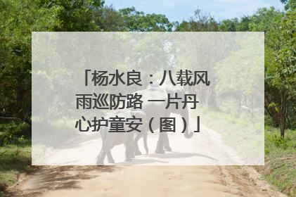 杨水良：八载风雨巡防路 一片丹心护童安（图）