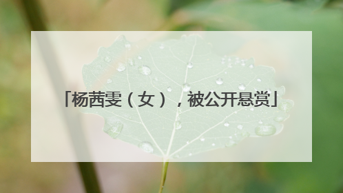 杨茜雯（女），被公开悬赏