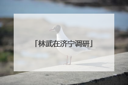 林武在济宁调研