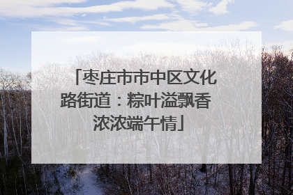 枣庄市市中区文化路街道：粽叶溢飘香 浓浓端午情