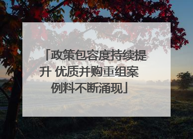 政策包容度持续提升 优质并购重组案例料不断涌现