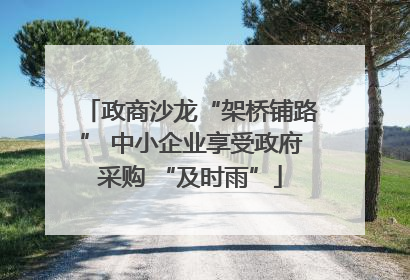 政商沙龙“架桥铺路” 中小企业享受政府采购 “及时雨”