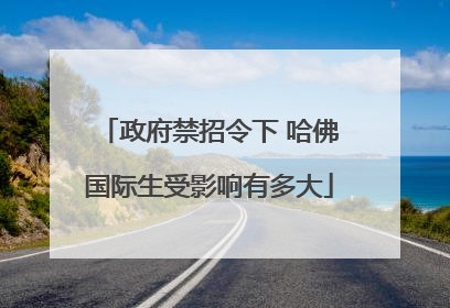 政府禁招令下 哈佛国际生受影响有多大