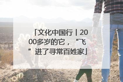 文化中国行丨2000多岁的它，“飞”进了寻常百姓家