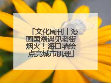 文化周刊丨漫画国潮遇见老街烟火！海口墙绘点亮城市肌理