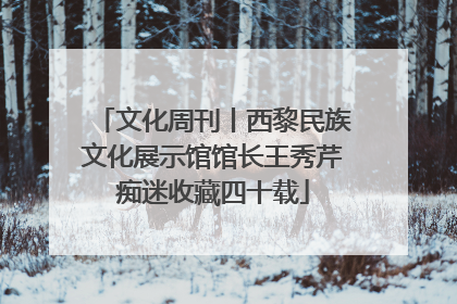 文化周刊丨西黎民族文化展示馆馆长王秀芹痴迷收藏四十载