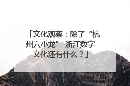 文化观察：除了“杭州六小龙” 浙江数字文化还有什么？