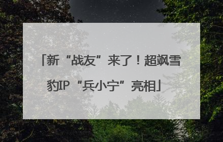 新“战友”来了！超飒雪豹IP“兵小宁”亮相