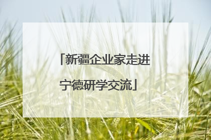 新疆企业家走进宁德研学交流