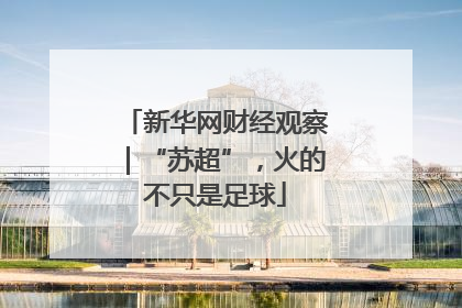 新华网财经观察｜“苏超”，火的不只是足球