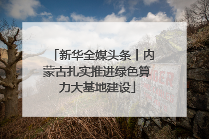 新华全媒头条丨内蒙古扎实推进绿色算力大基地建设