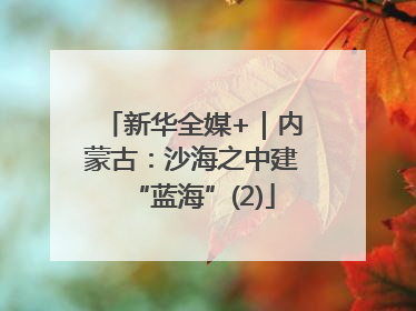 新华全媒+｜内蒙古：沙海之中建“蓝海”(2)