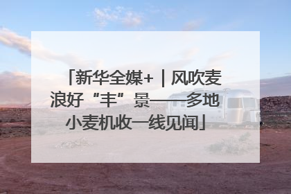 新华全媒+｜风吹麦浪好“丰”景——多地小麦机收一线见闻