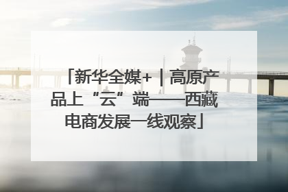 新华全媒+｜高原产品上“云”端——西藏电商发展一线观察