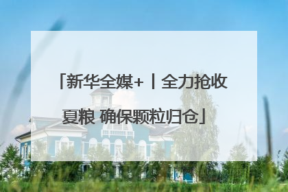 新华全媒+丨全力抢收夏粮 确保颗粒归仓