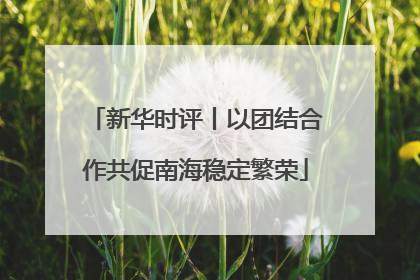 新华时评丨以团结合作共促南海稳定繁荣