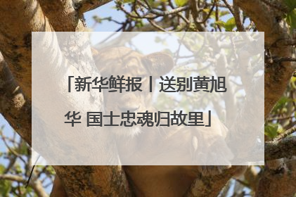 新华鲜报丨送别黄旭华 国士忠魂归故里