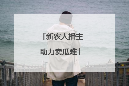 新农人播主 助力卖瓜难