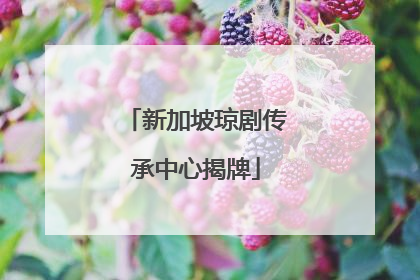 新加坡琼剧传承中心揭牌