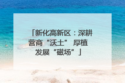 新化高新区：深耕营商“沃土” 厚植发展“磁场”