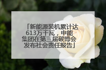 新能源装机累计达613万千瓦，申能集团在第三届碳博会发布社会责任报告