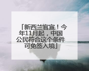 新西兰官宣！今年11月起，中国公民符合这个条件可免签入境