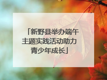 新野县举办端午主题实践活动助力青少年成长