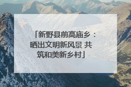 新野县前高庙乡：晒出文明新风景 共筑和美新乡村
