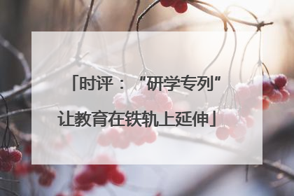 时评：“研学专列”让教育在铁轨上延伸