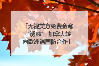 无视美方免费金穹“诱惑” 加拿大转向欧洲谋国防合作