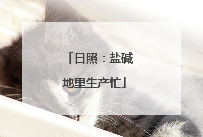 日照：盐碱地里生产忙