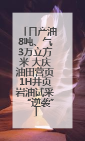 日产油8吨、气3万立方米 大庆油田营页1H井页岩油试采“逆袭”