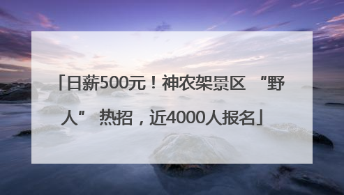 日薪500元！神农架景区 “野人” 热招，近4000人报名