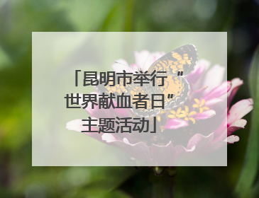 昆明市举行“世界献血者日”主题活动
