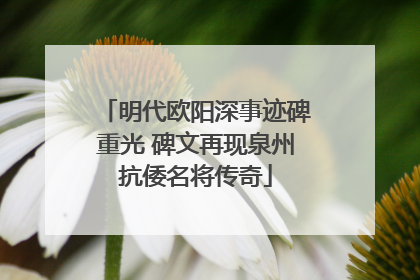 明代欧阳深事迹碑重光 碑文再现泉州抗倭名将传奇