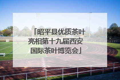 昭平县优质茶叶亮相第十九届西安国际茶叶博览会